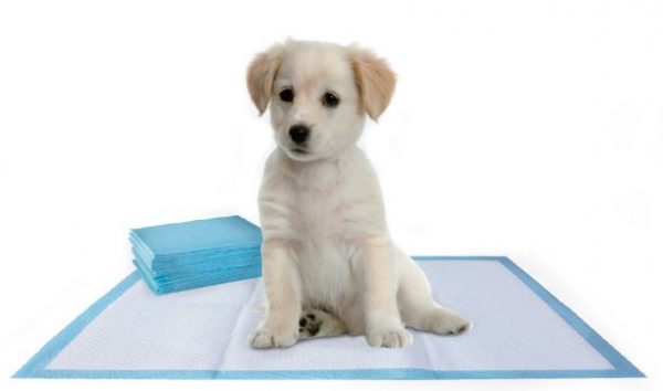 uses for puppy pads